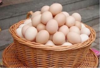 如何知晓鸡蛋期货价格波动盈利计算？盈利计算要点有哪些？