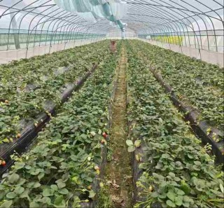 &deg;&Ecirc;&yacute;&plusmn;&Euml;&micro;&deg;&Yacute;&reg;&plusmn;&ordm;&Atilde; &deg;&acute;&ucirc;&plusmn;&para;&macr;&Igrave;&eth;&Iacute;&middot; &ordf;&