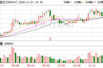 磷酸铁锂“反内卷”推进 中伟股份磷系业务迎来上行窗口