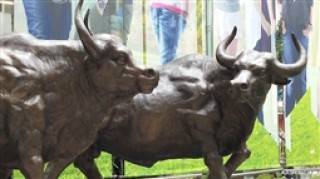 什么是资本缓冲量？资本缓冲量对经济有什么作用？