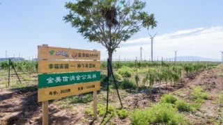 再添5000棵“金杞”！金美信消费金融“种下希望树”第三期圆满收官，三年筑起25000株西部生态屏障