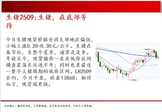 中天期货:玻璃承压回落 豆粕震荡运行
