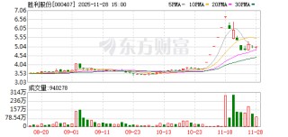 胜利股份：只要符合公司战略方向、有利于公司清洁能源发展的业务，公司都会跟踪、研究