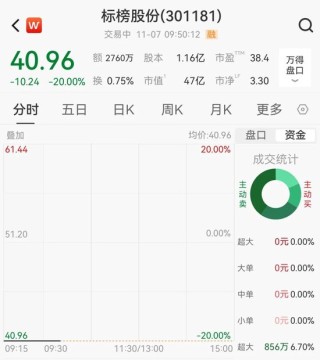 301181，突发跌停