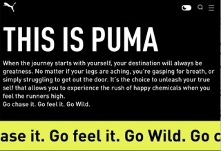 斥资123亿，安踏入股体育巨头