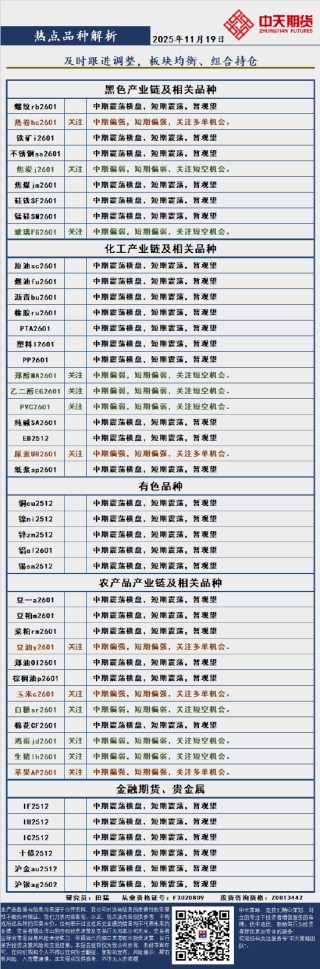 中天策略:11月19日市场分析