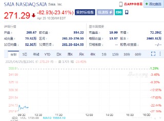 赛亚一季度业绩远未达标，股价下跌24%