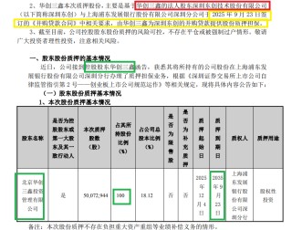 震安科技定增局：新掌门左手满仓质押右手包圆认购7.4亿元新股 可转债项目因产能利用率畸低蚕食利润