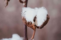 哪些标准用于筛选期货交易品种？