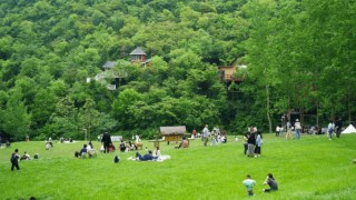 从偏僻小山村到“湖北小瑞士”，看泰康如何打造乡村振兴的“京山样板”