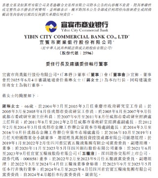 宜宾银行：委任蒋琳为行长