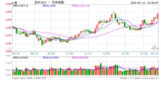 华北玉米：价格盘整、供需拉锯何时休？