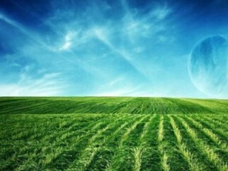 如何确定土地的相关问题？怎样妥善处理土地事宜？