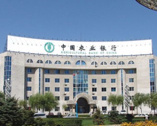 银行的金融服务团队专业吗？