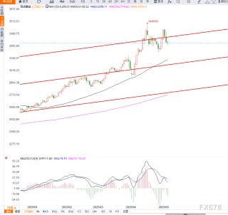 美元指数反弹叠加避险情绪减弱，黄金维持高位震荡