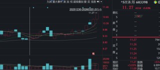 造假被罚，退市风险仍存，603398为何逆势涨停？