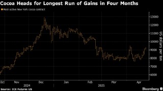 气候干燥引发供应紧张的担忧 可可期货势将创四个月来最长连涨
