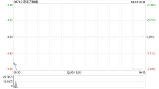 京东方精电：受托人根据股份奖励计划购买17.3万股