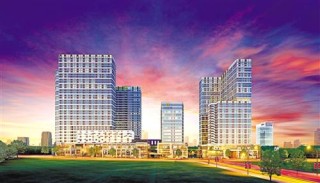 如何评价楼盘企业与区域关联？碧桂园在沈阳表现如何？