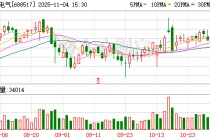 金冠电气：累计回购公司股份390447股