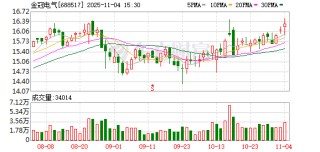 金冠电气：累计回购公司股份390447股
