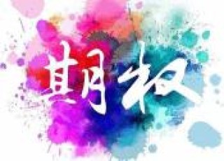 如何理解TF期权的投资特性与风险？这种理解对投资决策有何帮助？