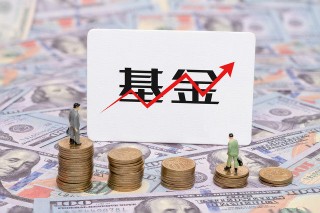 如何应对基金净值波动风险？