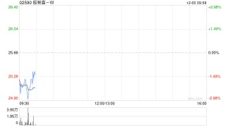 极智嘉-W建议委任毕马威为外部审计机构