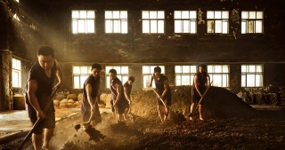 助力白酒申遗！珍酒李渡即将官宣“申遗大使”