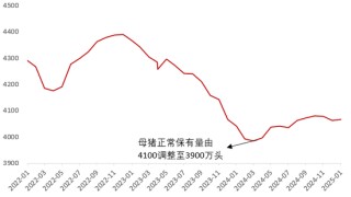 【二季报】生猪：供需矛盾弱化，猪价低波运行