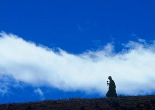 如何明确特定经济用语在投资策略中的地位？这些地位对市场判断有何影响？