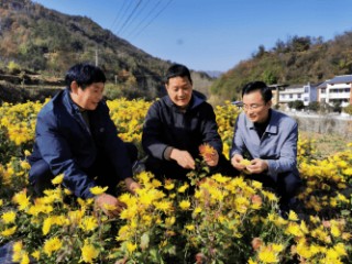 奋楫扬帆“十四五” 金融报国谱新篇――2025年中国人寿保险股份有限公司高质量发展回望