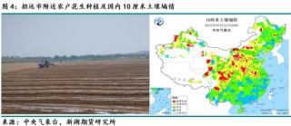 新湖农产（油脂）专题：山东花生产区调研报告