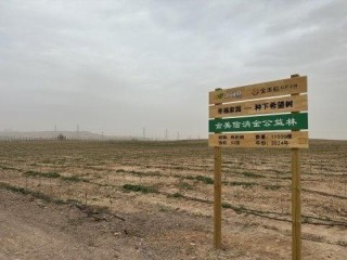 再添5000棵“金杞”！金美信消费金融“种下希望树”第三期圆满收官，三年筑起25000株西部生态屏障