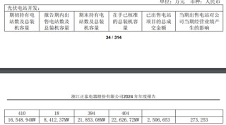 正泰电器：电站出售难填百亿债务缺口