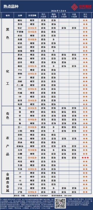 中天策略:1月8日市场分析