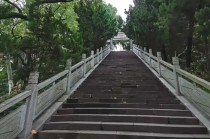 170亿资本入局，寿险市场迎来新晋保险巨头