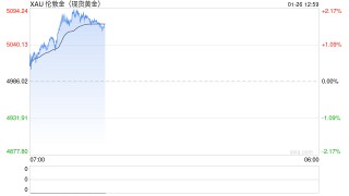 贵金属板块大涨10%，湖南黄金、招金黄金去年净利大涨