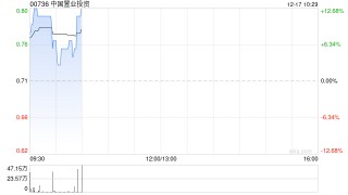 中国置业投资计划购买数字资产