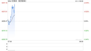 中金缪延亮：黄金能否替代美元？