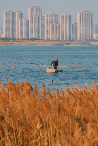 秦朔朋友圈：怎样才能办好自己的事——年终经济漫谈之三 || 大视野
