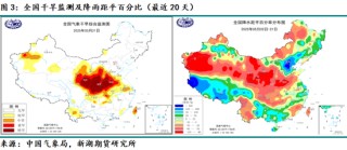 新湖农产（油脂）专题：山东花生产区调研报告