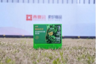 以乳蛋白功能营养赋能药房价值转型，飞鹤爱本亮相2026西鼎会并斩获跨界黑马奖