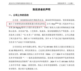 武汉禾元科创板IPO：亏损公司融资再启动！募资从35亿减为24亿！IPO说明书的预期大概率达不到！