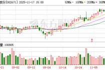 龙泉股份：公司及全资子公司无逾期对外担保