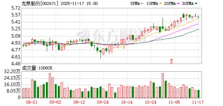 龙泉股份：公司及全资子公司无逾期对外担保
