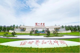 泸州老窖三季报：231亿营收背后的渠道攻坚与效率革命