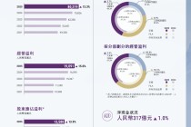 安踏营收802亿：不断跑出新的增长“王牌”
