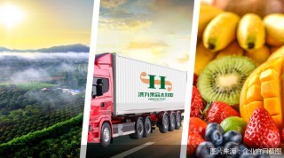 财报难产、高管被查，洪九果品终遭退市