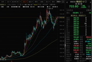 2900亿巨头突发！拟募资近50亿元，加码投资大模型芯片平台！